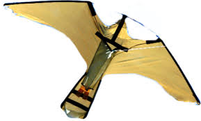 Image result for Poole Kite Fliers