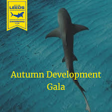 Image result for Leeds Sharks