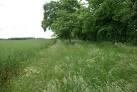 SP5123 : Aves Ditch - via Daymix