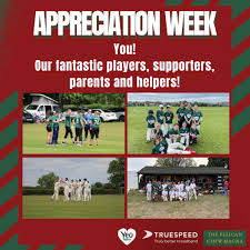 Image result for Chew Magna Cricket Club