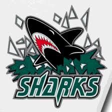 Image result for Chichester Sharks