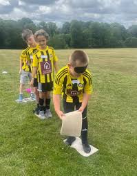 Image result for Abbey Lane Junior Football Club