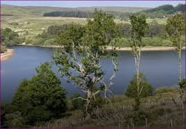 Image result for Morecambe & District HF Rambling Club