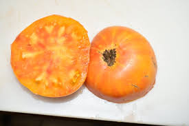 Afbeeldingsresultaat voor mortgage lifter bicolor strain tomato