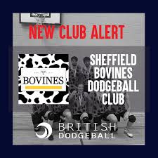 Image result for Weymouth Dodgeball Club