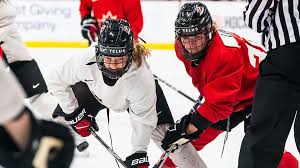 Image result for Pontypool Skater Hockey Club