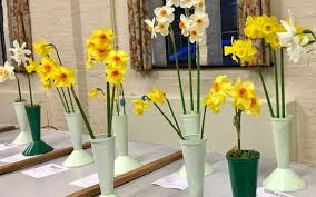 Image result for Wonersh Stoolball Club