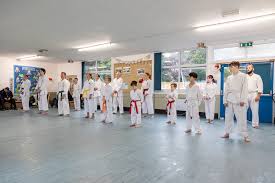 Image result for MIDDLESBROUGH KARATE ACADEMY