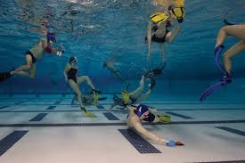 Image result for Worcester Divers Octopush Club