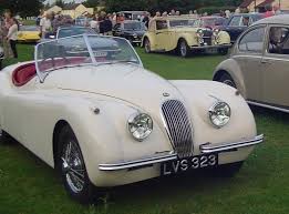 Image result for Old English White 1955 Jaguar