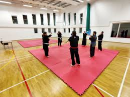 Image result for A BRITISH JUJITSU RYU in Lancing