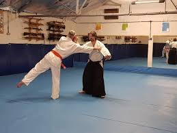 Image result for Aikido Rickmansworth