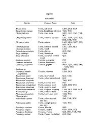 Attēlu rezultāti vaicājumam “Reticularia sp.”