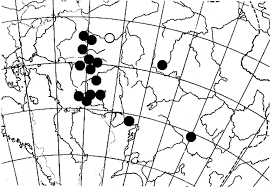 Attēlu rezultāti vaicājumam “Arthonia leucopellaea”
