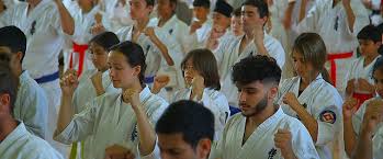 Image result for Great Britain Martial Arts Academy