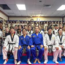 Image result for United Sport Karate