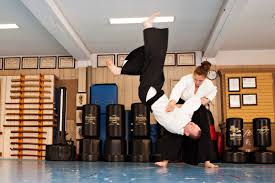 Image result for Matlock Aikido Club