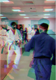 Image result for Bradley Stoke Judo Club