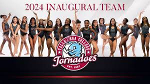 Image result for Blandford Forum Gymnastics & Kanga Club