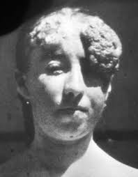 Image result for Lewandowsky-Lutz