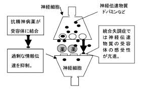 Image result for 向精神薬副作用