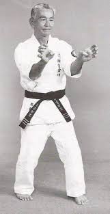 Image result for Uechi-Ryu Karate Do, Hedge End