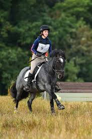 Image result for Chiddingfold Branch Of The Pony Club
