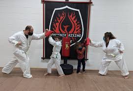 Image result for Phoenix Martial Arts