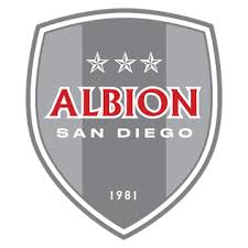 Image result for Staines Albion Fc