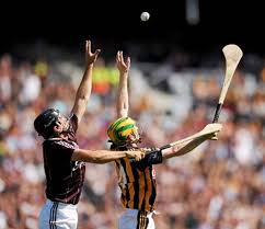 Image result for Causeway Hurling Club