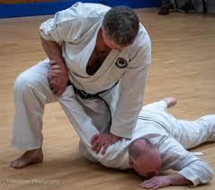 Image result for Karate Wado Kai