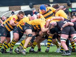 Image result for Rochford Hundred Rugby Club
