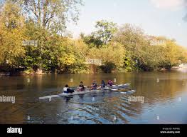Image result for Bedford Rowing Club