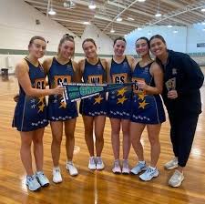 Image result for Waverley Netball Club