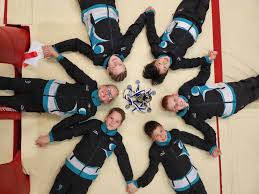 Image result for Hull High Flyers Gymnastics Club
