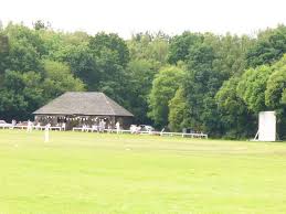 Image result for Buscot Park Cricket Club
