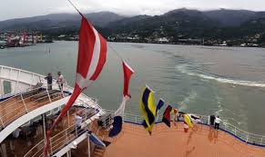 Attēlu rezultāti vaicājumam “Aranei exuvia”