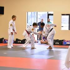 Image result for ATA Martial Arts Mobile
