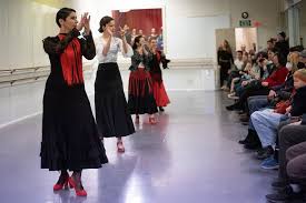 Image result for Flamenco Dance School