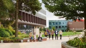 Image result for Edge Hill University Rounders