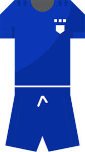 Image result for Old Wokingians Football Club