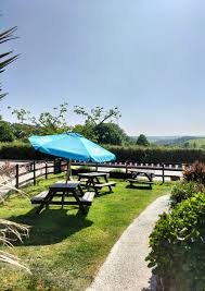 Image result for Plough & Chequers Petanque Club