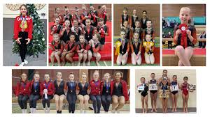 Image result for Tamworth Olympic Gymnastics Club