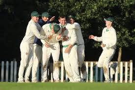 Image result for Hodnet & Peplow Cricket Club