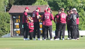 Image result for South Wilts Cricket Club