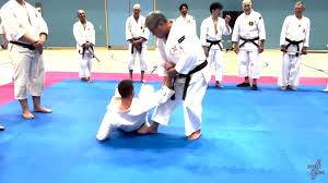 Image result for Holboln Shorinji Kempo Club