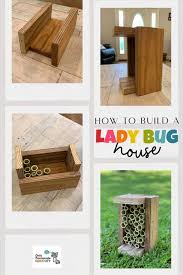 Image result for ladybug house