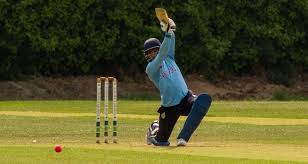 Image result for Sandyford Cricket Club