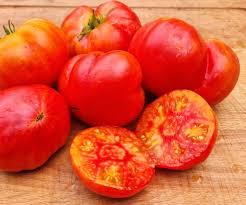 Afbeeldingsresultaat voor northern lights tomato