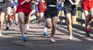 Image result for Andover Road Runners